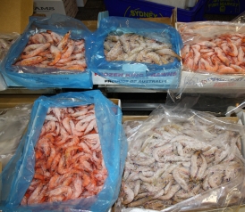 Seafood Wholesalers